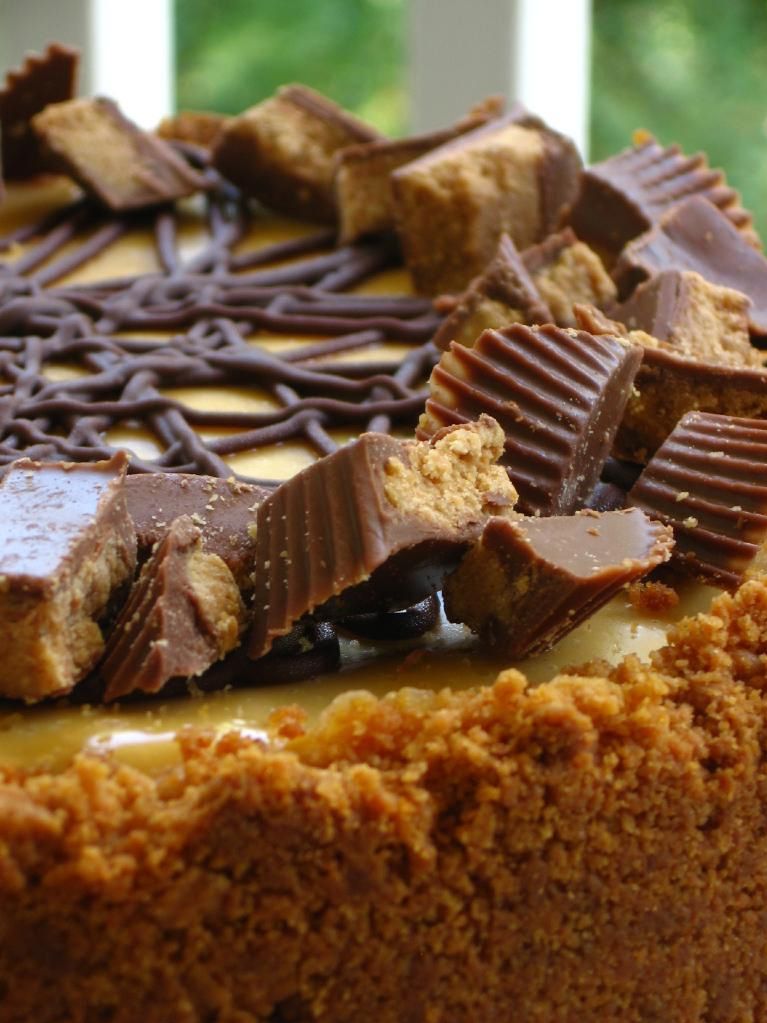 Chocolate Peanut Butter Bliss Cheesecake and Project Food Blog Willow Bird Baking